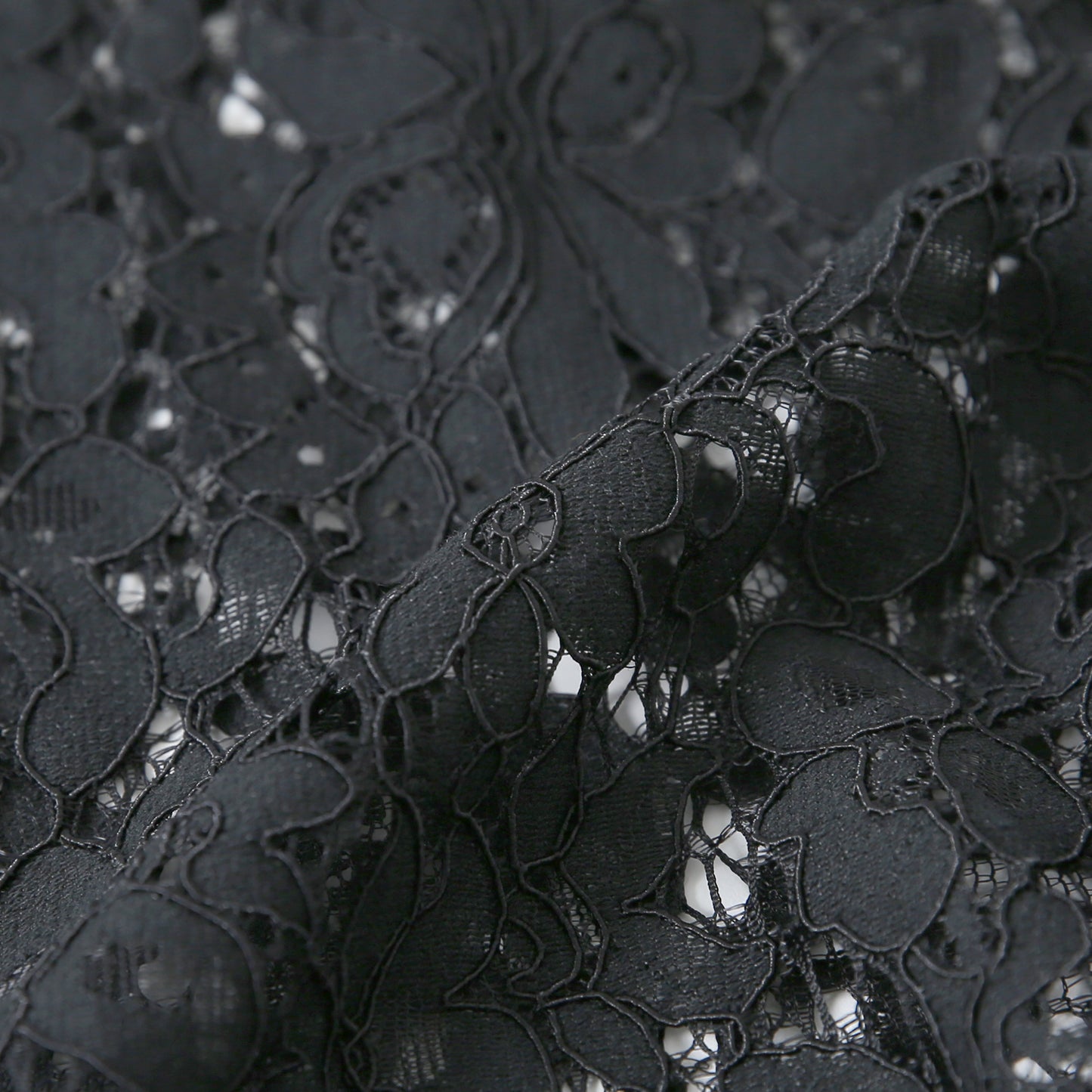 Big Collar Lace Shirt(ビッグカラーレースシャツ)
