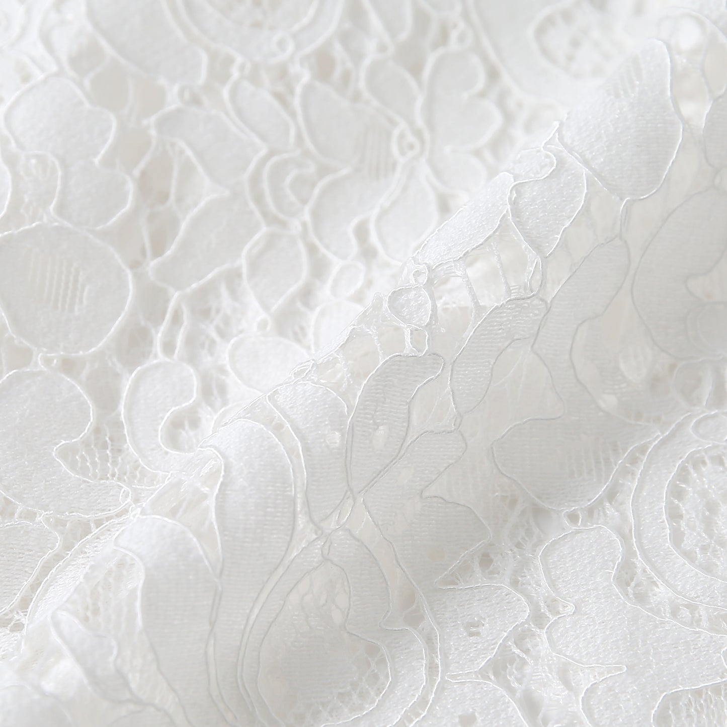Big Collar Lace Shirt(ビッグカラーレースシャツ)